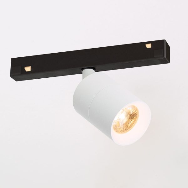 Audette 2021 Trizo21